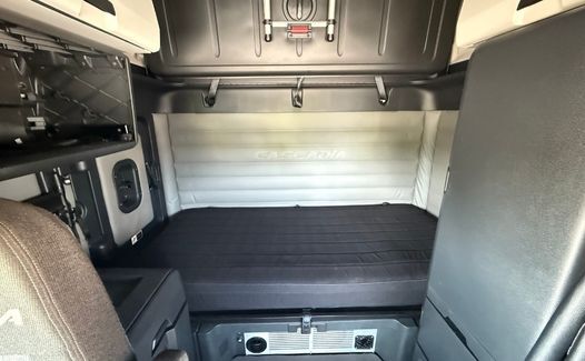 2021 Freightliner Cascadia 126 (TK7823)
