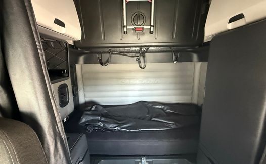 2021 Freightliner Cascadia 126 (TK8224)