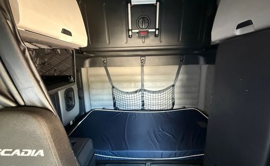 2021 Freightliner Cascadia 126 (TK8298)