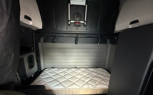 2021 Freightliner Cascadia 126 (TK8230)