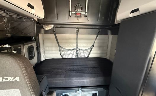2021 Freightliner Cascadia 126 (TK8235)